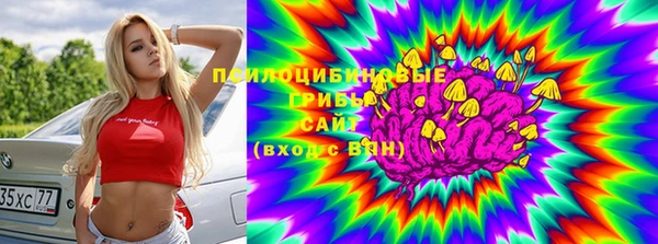 шишки Абдулино