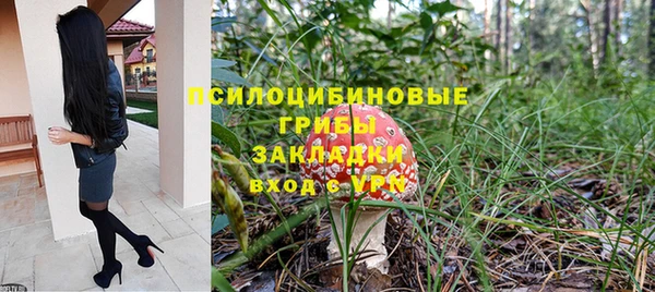 spice Абаза